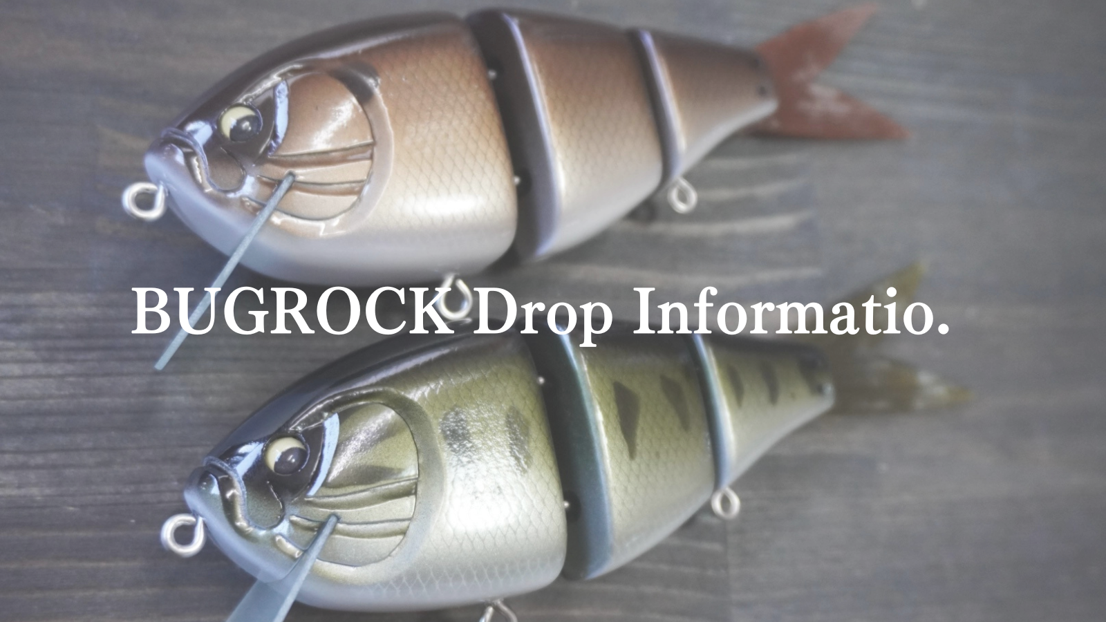 15 BUGROCK Drop Information. | MONSTER BAIT DEVELOPMENT